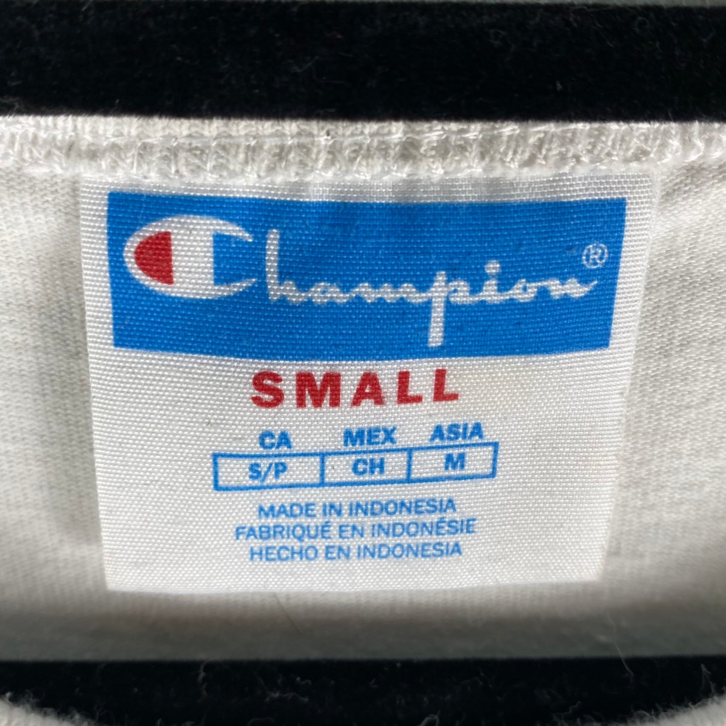 Vintage Champion 2000's White Cotton Tee Shirt Size S